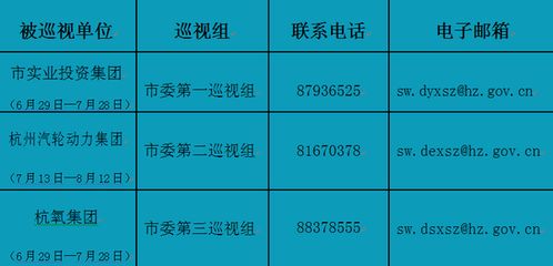 杭州 今年第三轮巡视市实业投资集团等3家国企