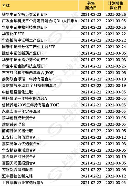 牛年首日'日光基'频现，一季度百只基金扎堆发行引发市场关注