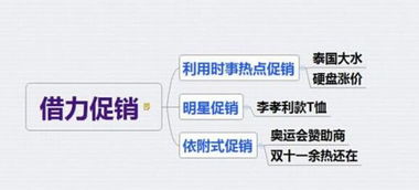 2016年电商卖家必知的15种促销策略 从经营管理到实业投资的实战指南