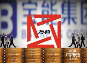 宝能系姚氏兄弟的商海征途 学历、胆识与资本运作的合力