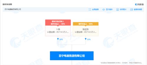 突发 苏宁电器集团被强制执行超30亿